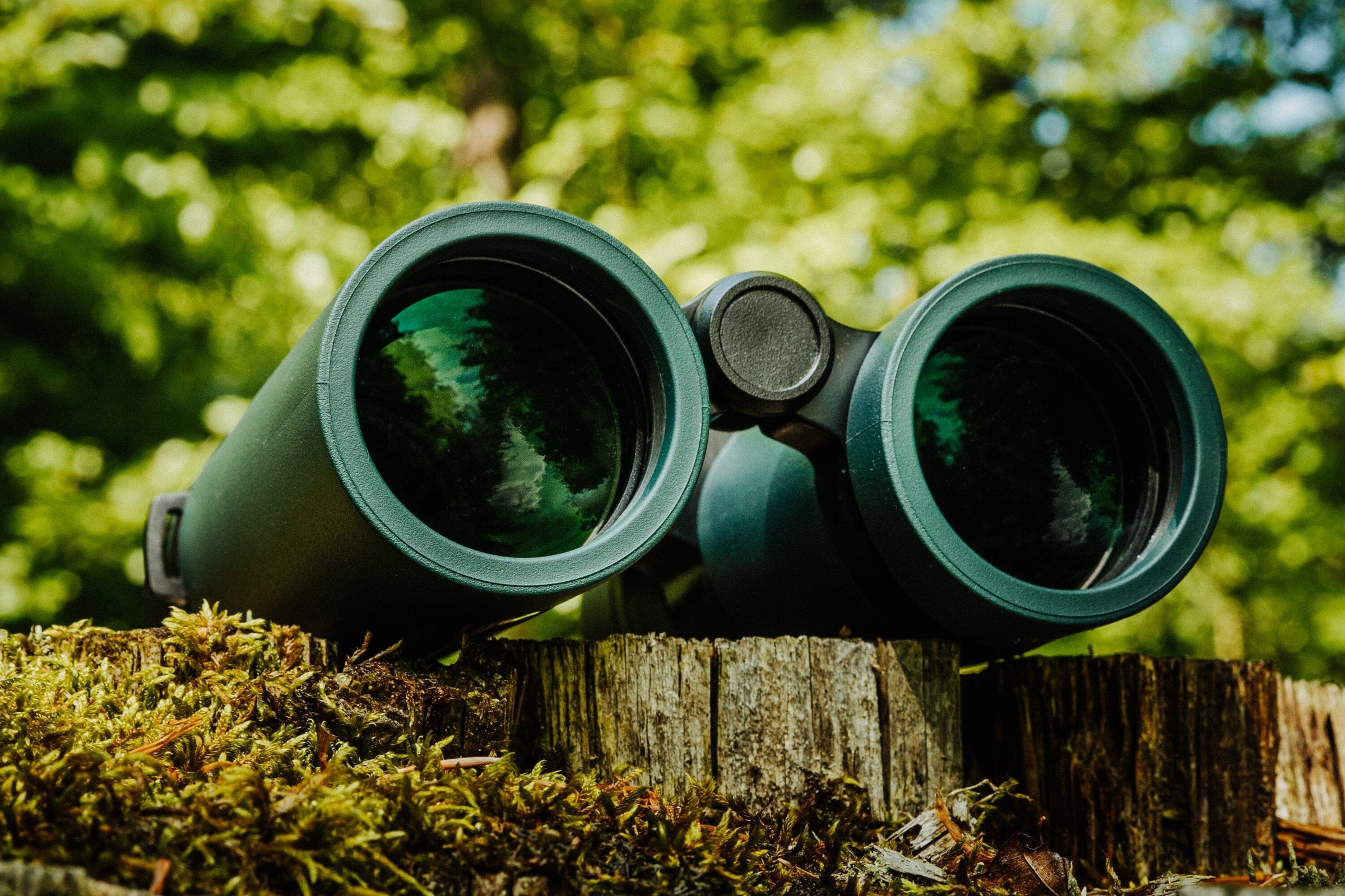 Ferngläser