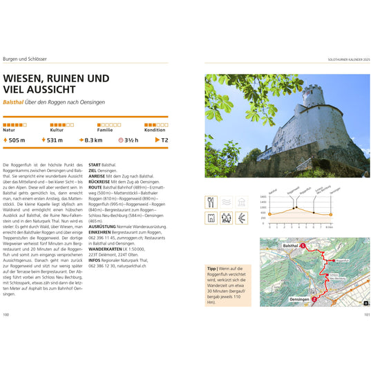 Solothurner Kalender – Agenda 2025 Agenda Rothus Medien AG