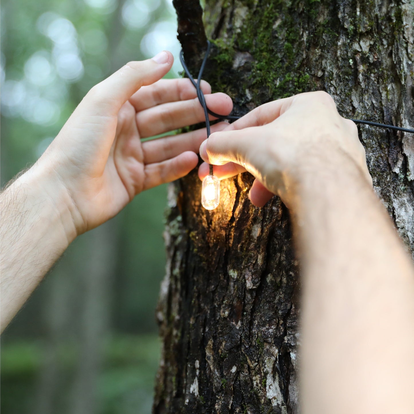 Luci Solar Light String Luci Solar