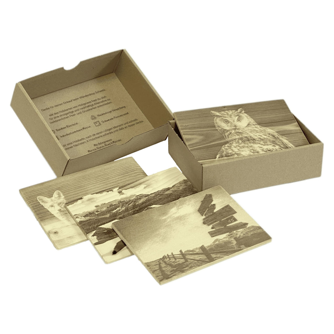 Holzkarten-Set Spiel und Spass Wandershop SCHWEIZ 