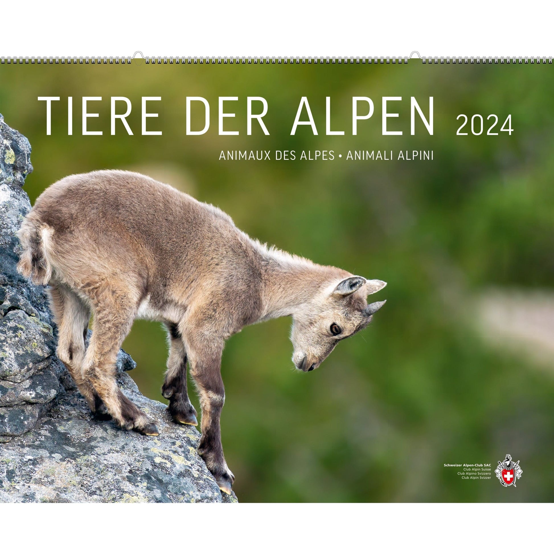 Kalender Tiere der Alpen 2024 Agenda Wandershop SCHWEIZ 